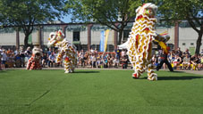 Kung Fu Tai Chi Leeuwendans voor "A Brand New Day"